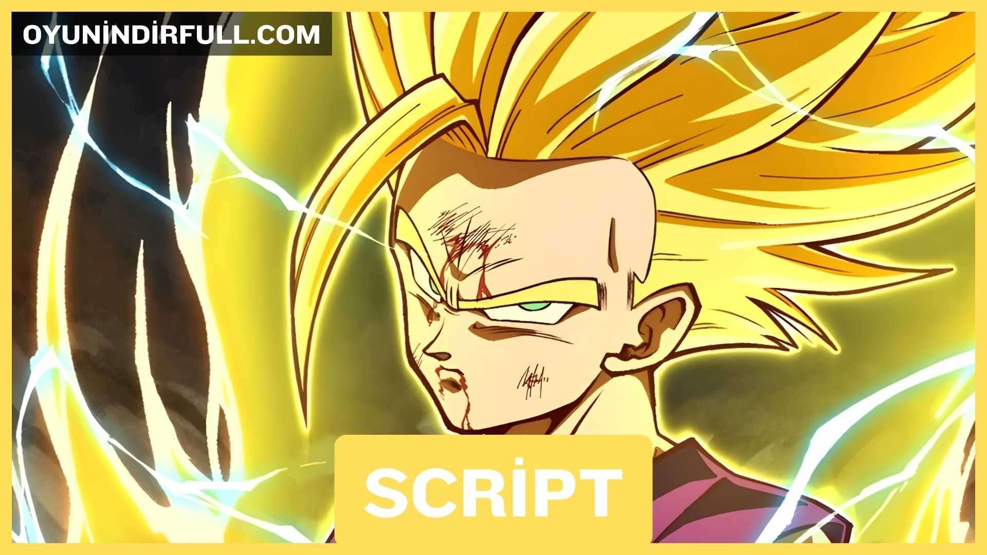 Dragon Ball Rage Script